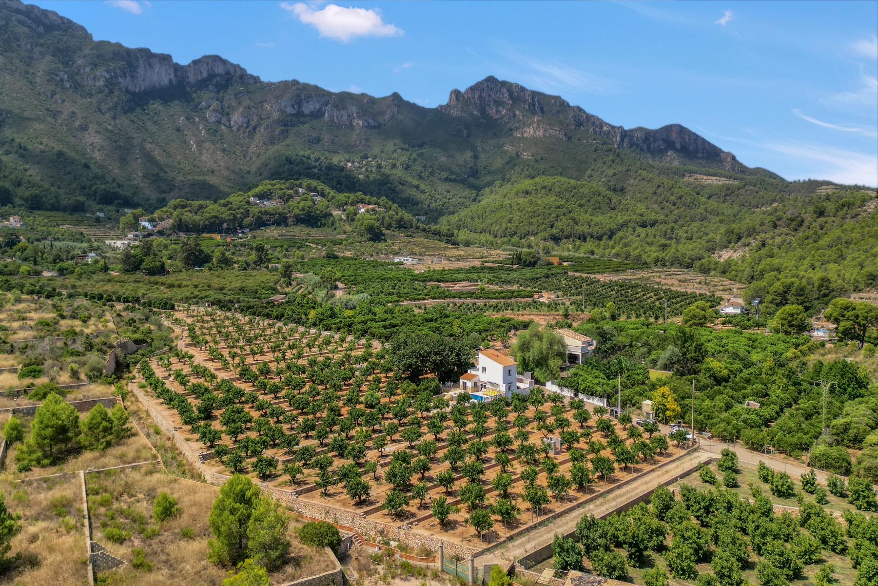 Rodeados de naturaleza, entre naranjos