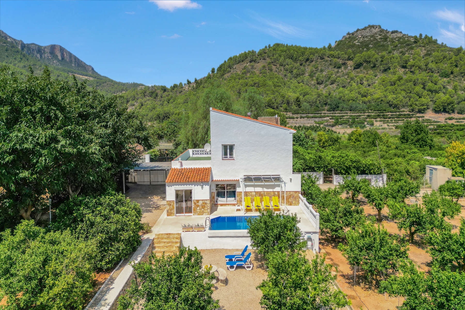 Rodeados de naturaleza, entre naranjos