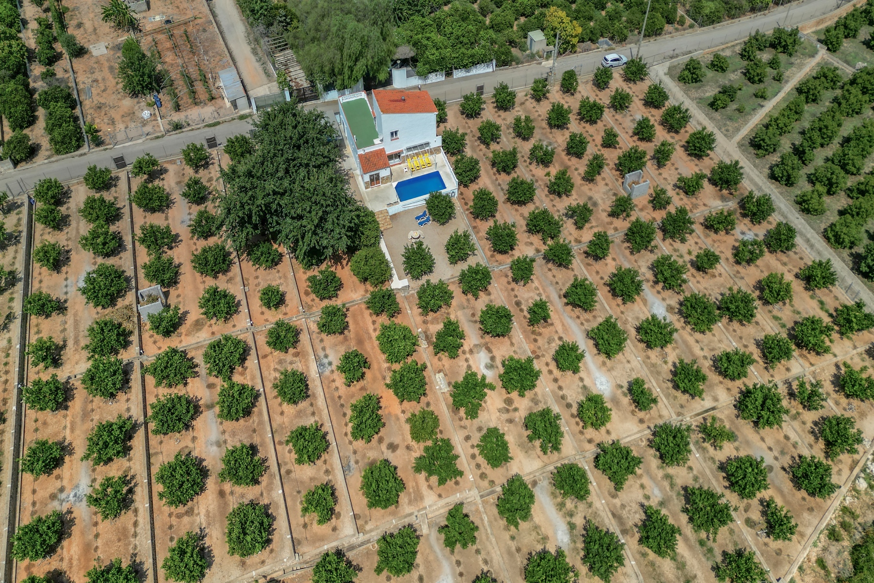 Rodeados de naturaleza, entre naranjos